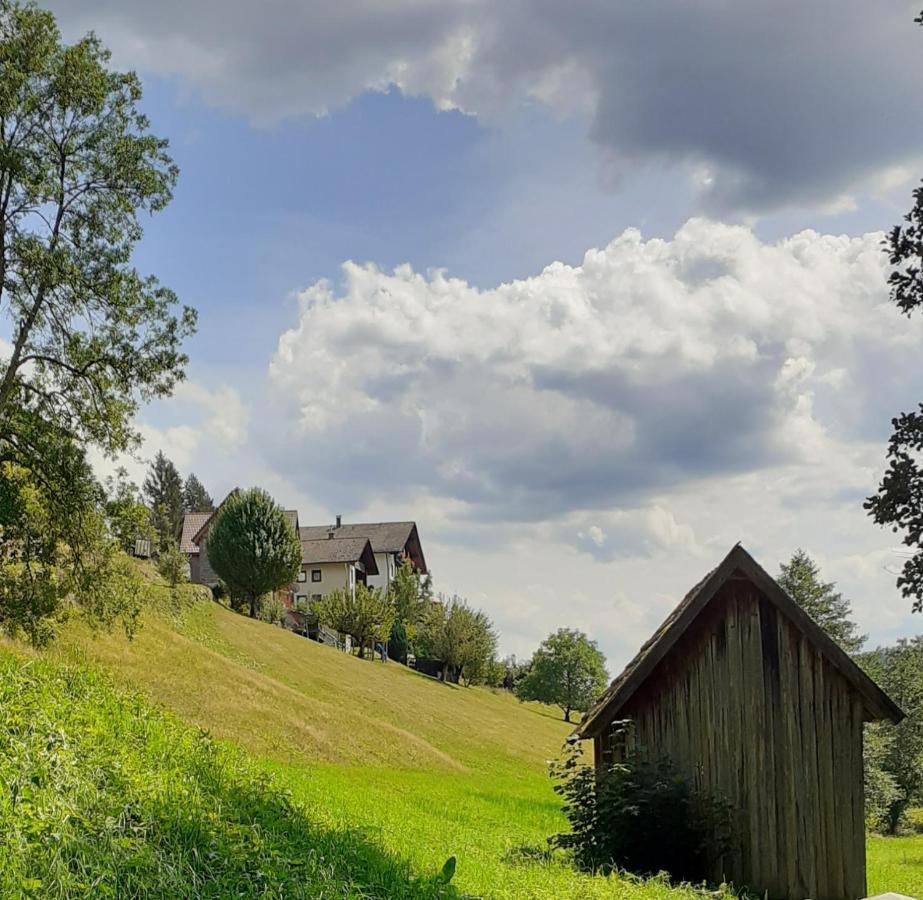 Ferienwohnung Tonbachtal Baiersbronn Esterno foto